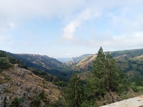 IMG-20250626-WA0030
